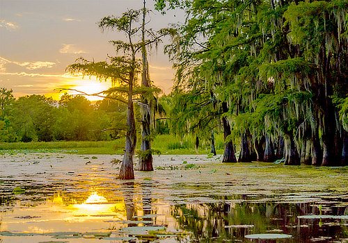 Black Bayou National Wildlife Refuge